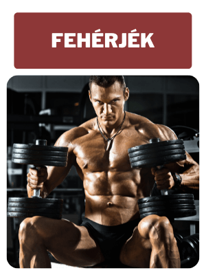 protein