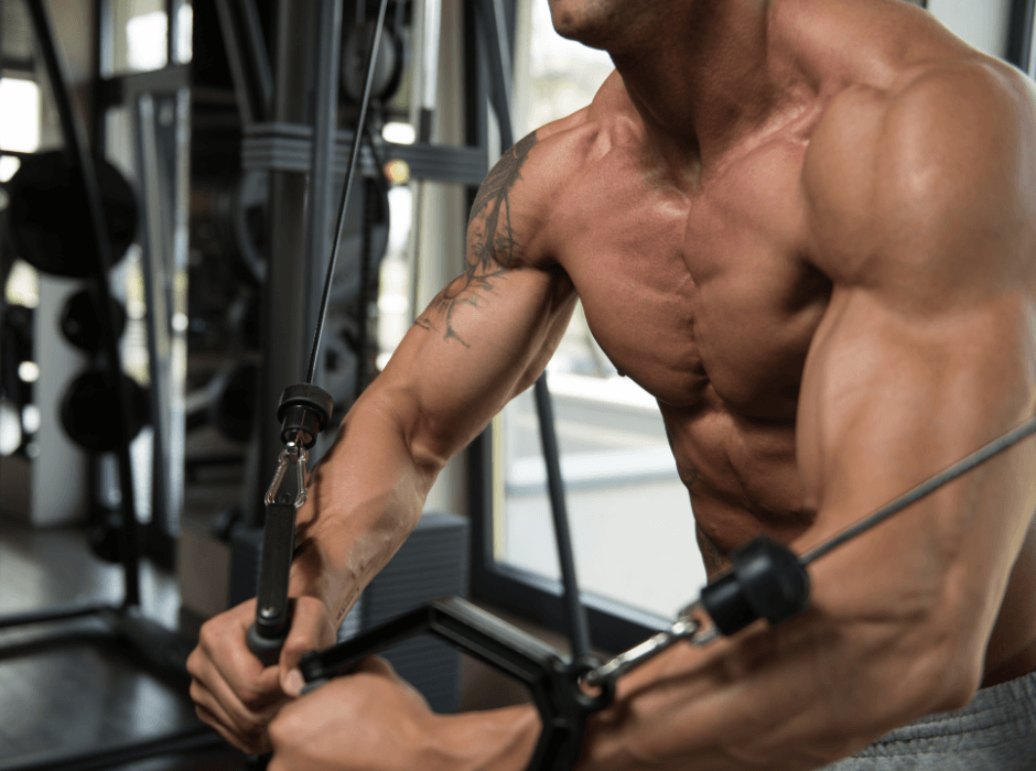 Hogyan tartsuk meg hossz� t�von az izomt�meget?