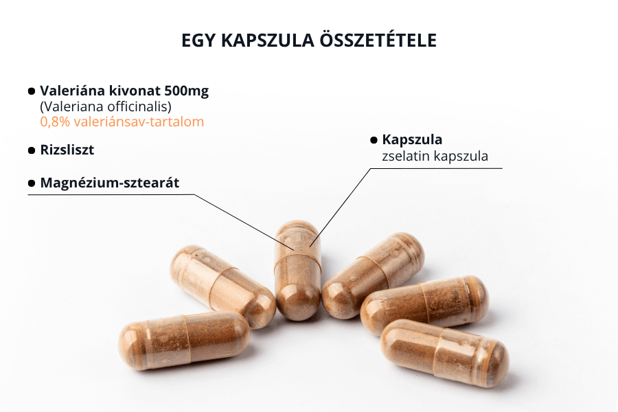 Orvosi macskagykr 