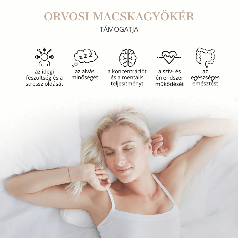 orvosi macskagykr