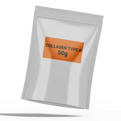 Collagen type II 50g - Natural