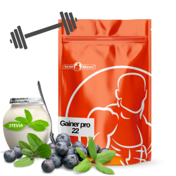 Gainer pro 22 4kg |Blueberry/yogurt